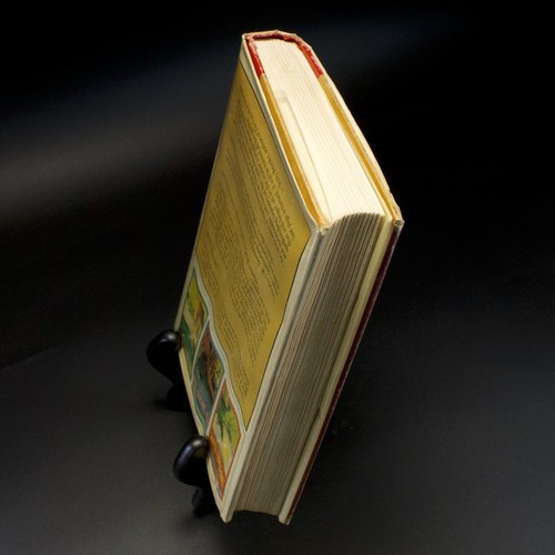 Lord Foul's Bane Stephen R. Donaldson Hardcover 1977 Book Club Edition Good - Picture 9 of 19