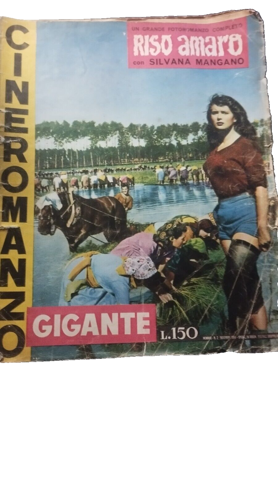 Foto 1 di 2