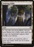 Evolving Wilds Commander Zendikar Rising Near Mint MTG Magic DNA GAMES