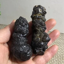 2pcs Limonite & Hematite pseudomorph after Marcasite - Prophecy Stone 163g c019