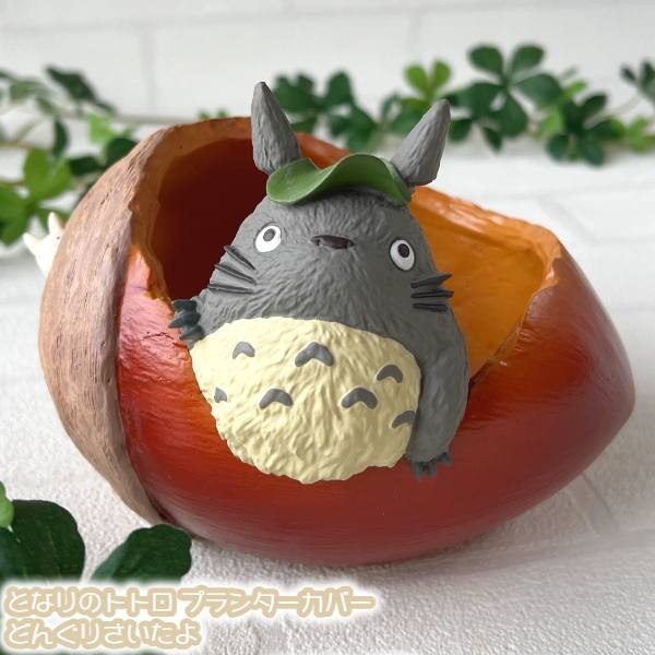Ghibli My Neighbor Totoro Planter Cover Acorn 2024  Japan