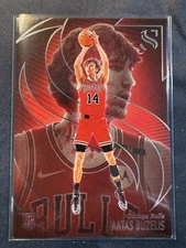 2024 Silhouette #89 Matas Buzelis RC Chicago Bulls Rookie
