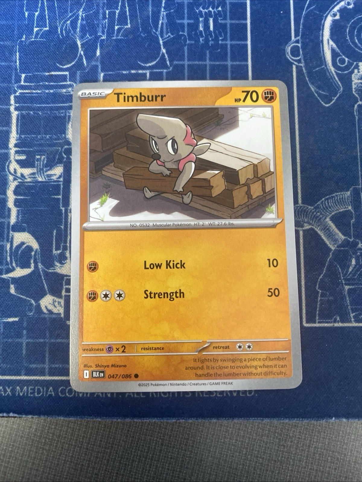 Timburr 047/086 Common Regular - Pokemon TCG Black Bolt - NM