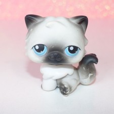 authentic littlest LPS 60 chat cat persian persan petshop PET SHOP HASBRO