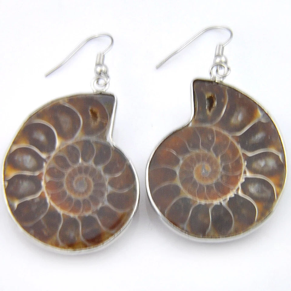 Big Promotion! Woman Huge Natural Ammonite Fossil Gesmtone Silver Earrings  - Image 2 of 4