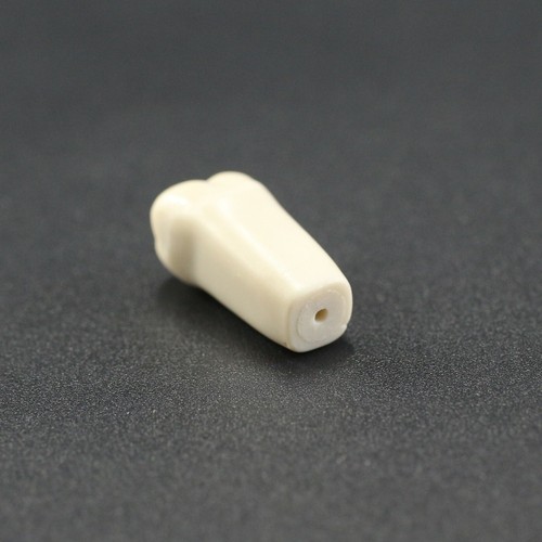 Columbia 860 style Dental Typodont Individual Teeth Model Replacement Screw-in - 第 28/82 張圖片