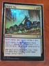 (Foil) [NM] MTG Korean, Ravnica Allegiance, 1 x Rhythm of the Wild