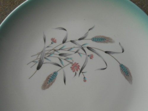 Homer Laughlin Duratone SPRING GARDEN 10" DINNER PLATE Vtg - Picture 5 of 6