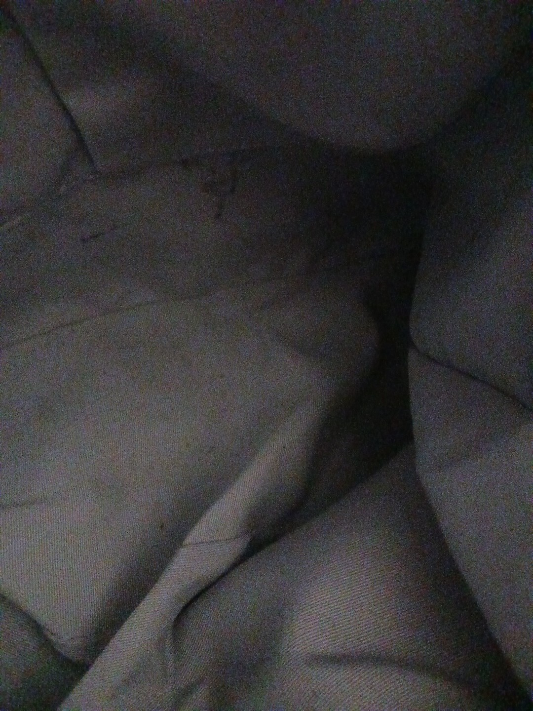 Picture 12 of 12