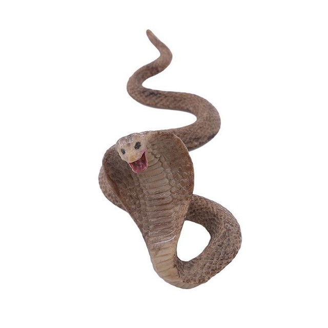 cobra snake toy