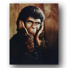 Kim Hunter Photo 8x10 Zira Escape From The Planet Of The Apes 1971-1