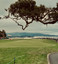 macw_795