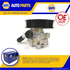 Power Steering Pump NPS1103 NAPA PAS 13309339 948107 948230 Quality Guaranteed