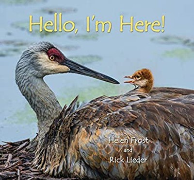 Hello, I'm Here! Picture Book Helen Frost