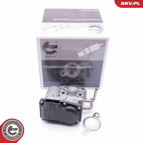 Agr Ventil Esen Skv 14SKV189 12V FüR Outback Br Legacy 5 Bm Forester Station Gr-image