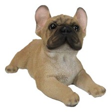 Estatuilla Frenchie de perro cachorro bulldog francés adorable sentado realista 8,25" L