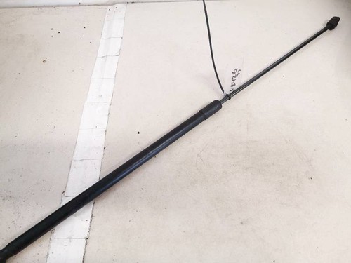 Volkswagen Passat 2005 Hood Support (strut front hood) 3c0823359,  #1745319-76