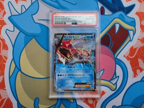 Gyarados EX 2015 Pokemon Japanese XY Rage of the Broken Heavens #018 - PSA 10 💎