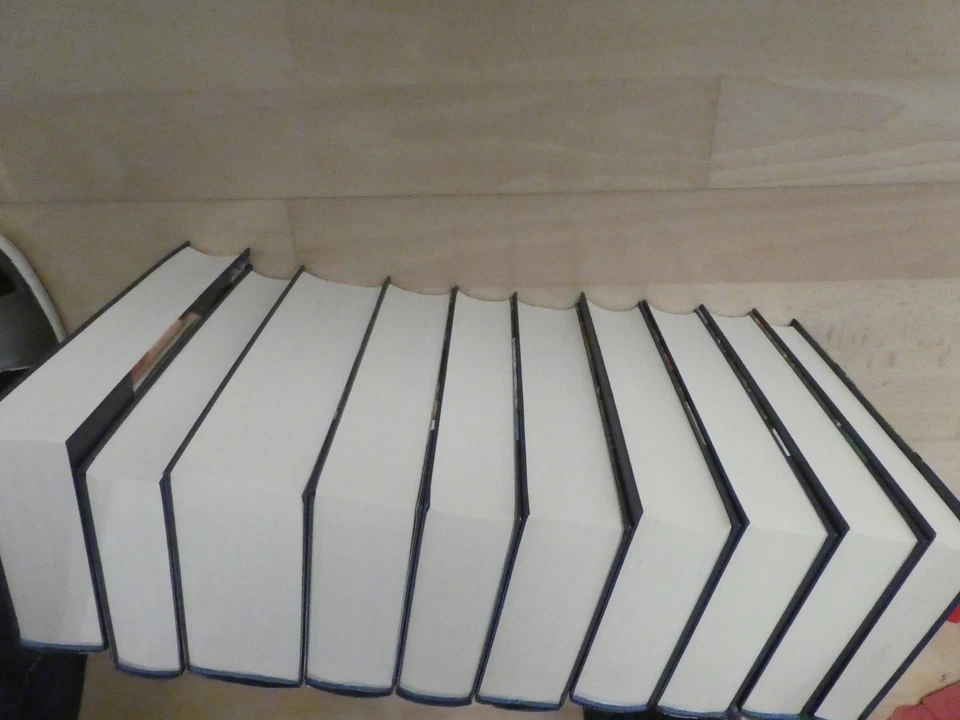 Dostojewski sämtliche Werke in 10 Bänden*im Schuber*Piper Verlag*TOP - Bild 4 von 4