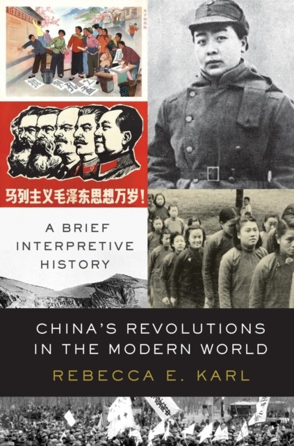China's Revolutions in the Modern World by Rebecca E. Karl - - Image 3