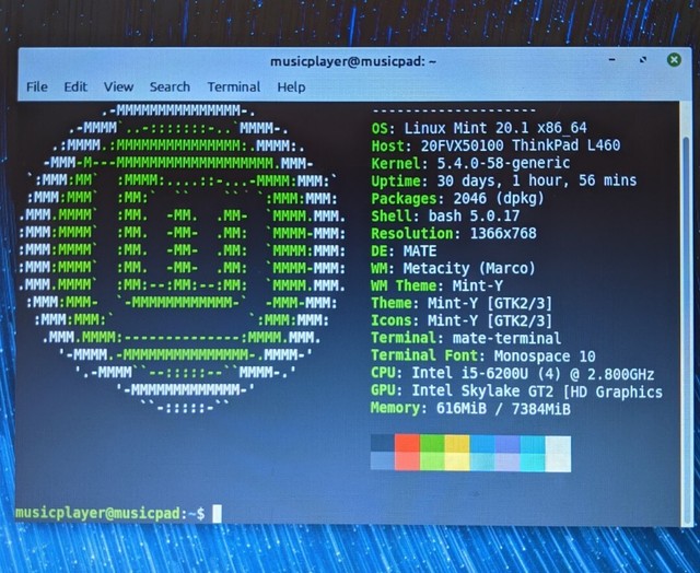 Lenovo Thinkpad L460 I5 6300u 8gb 256 Gb Ssd Laptop For Sale Online Ebay