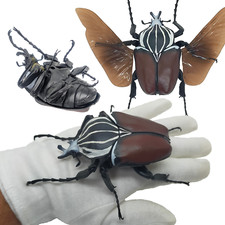 Bandai Japan Gashapon Goliathus Goliatus 7in Big Realistic Beetle Insect Figure