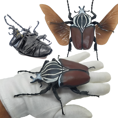 Bandai Japan Gashapon Goliathus Goliatus 7in Big Realistic Beetle
