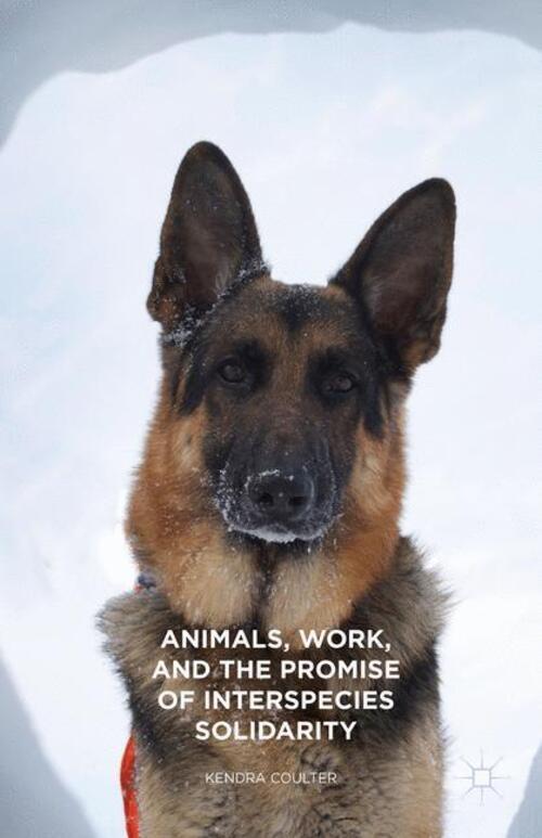 Thumbnail - Kendra Coulter | Animals, Work, And The Promise Of Interspecies