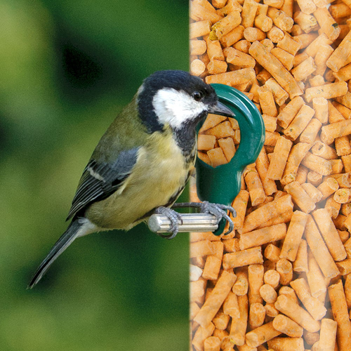 GardenersDream Insect Suet Pellets - High Energy Feed Wild Bird Garden Food - Picture 3 of 33