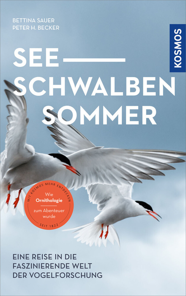 Thumbnail - Seeschwalbensommer | Bettina Sauer (u. A.) | Deutsch | Taschenbuch |
