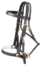 Australian Leather Bridle - Halter Combo - Black or Brown Leather