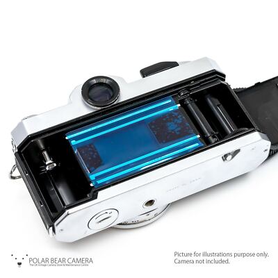 Come Funzionano Le Fotocamere A Pellicola