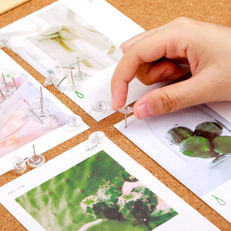 100pcs/Pack Decorative Pushpins Set Small Round Thumb Set for Office School - Image 2 of 4