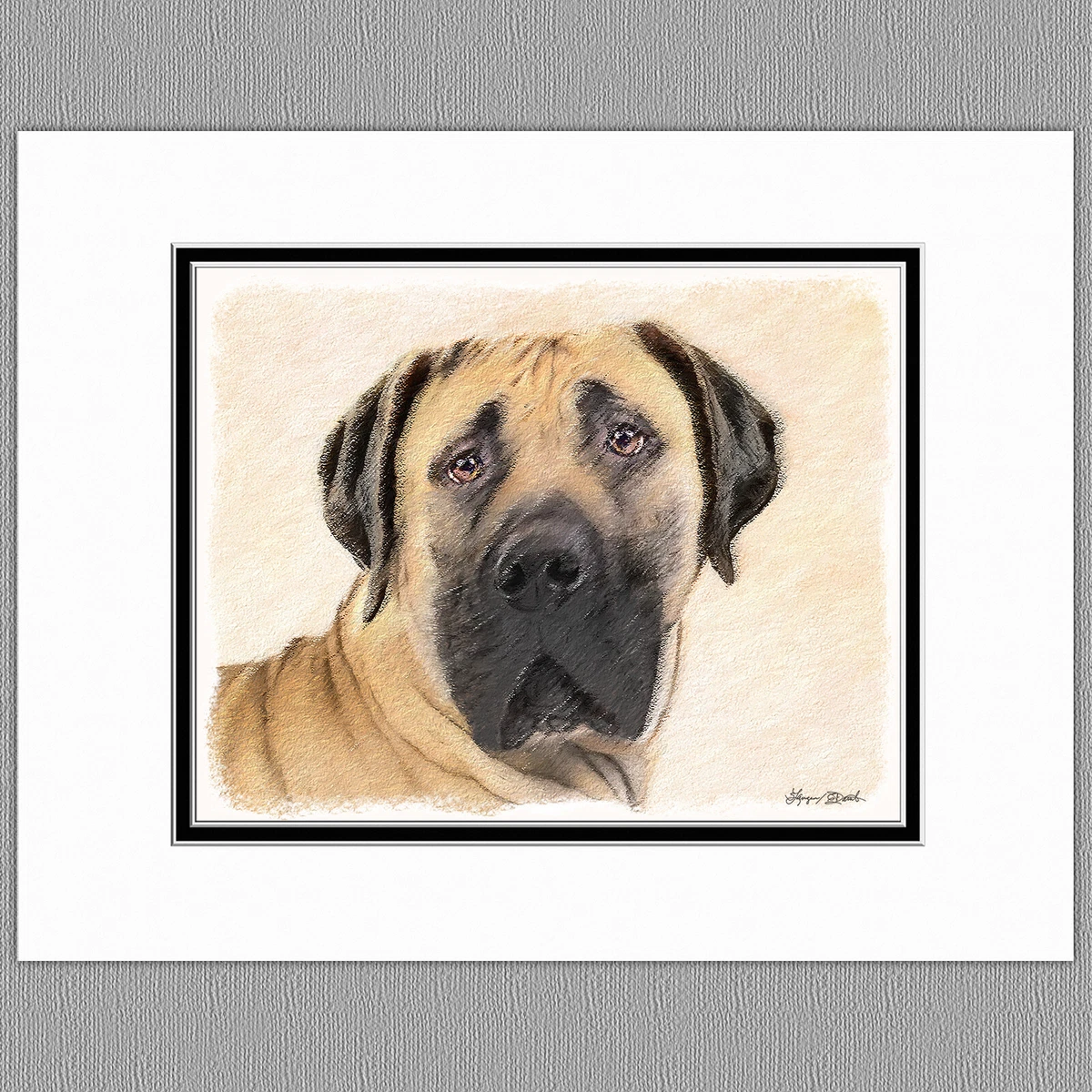 Boerboel South African Mastiff Dog Original Art Print 8x10 Matted to 11x14