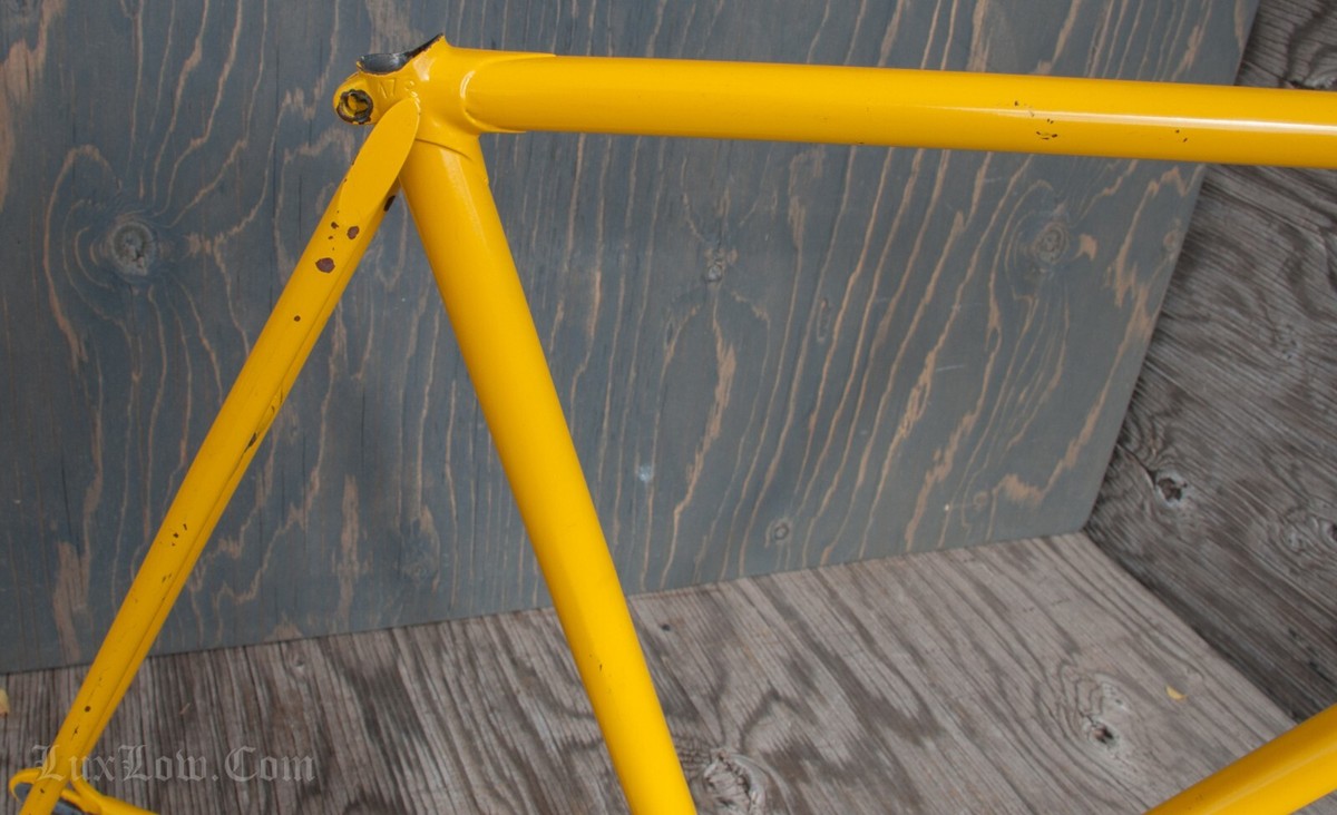 Vintage 56cm Zeus? RoadBike FRAME Columbus? Lugged Steel