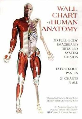 Wall Chart of Human Anatomy - Hardcover, by McCracken Thomas - Very Good