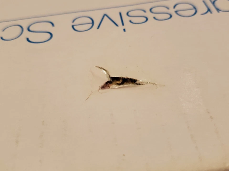 Memorex MVD2032 DVD/CD - Dolby Digital - En caja NOS (H1) Foto 4 de 4