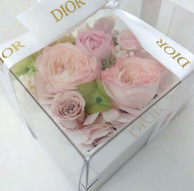 Christian Dior Preserved Pink Rose Flower W/ Gift Wrapped Acrylic