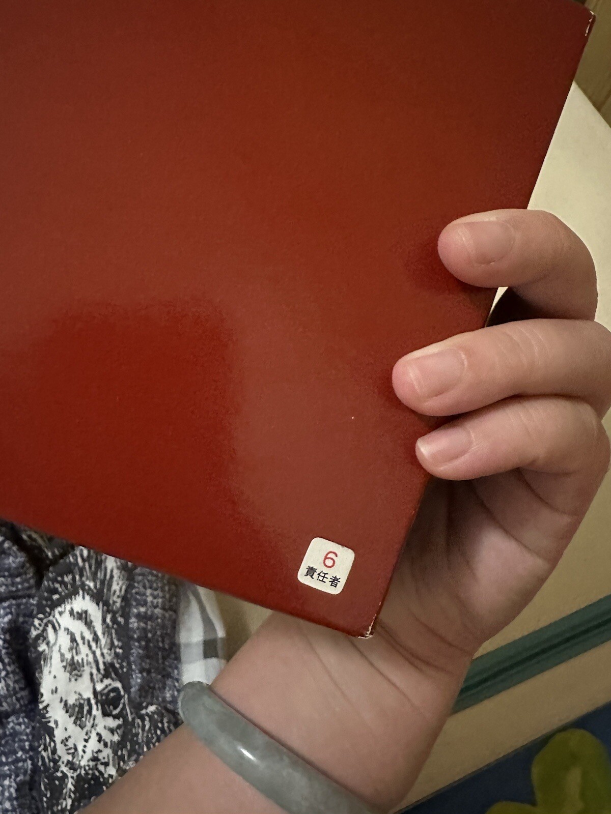 Auth Celine Bag eBay