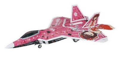Hasegawa F-22 Raptor Idol Master Haruka Amami 1/48 SP271 JP