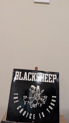 Black Sheep The Choice Is Yours Mercury Hip-Hop Vinyl Single 12'' Black 33 RPM