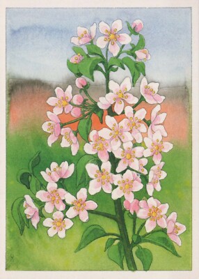 FLOWERS Vintage Ansichtskarte Postkarte CPSM #PAR291.D