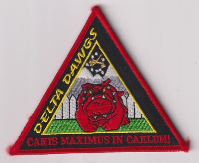 89th Flying Training Squadron Delta Flight pilot training US Air Force USAF