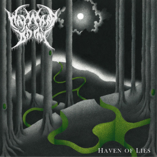 Wayward Dawn Haven of Lies (Vinyl LP) 12" Album