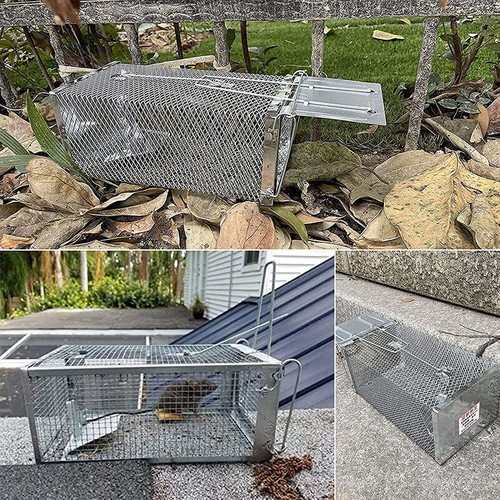 Trap Humane Possum Feral Cage Pest Rodent Mouse Animal Live Catch 27*14*11cm - Picture 6 of 6