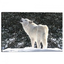 Quadro Stampa su Tela con Telaio Lupo