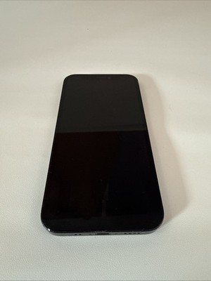Apple iPhone 12 Mini 128 GB Wiped And Reset No Sim Card