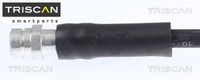 Triscan 815029234 Bremsschlauch Hinterachse Hinten