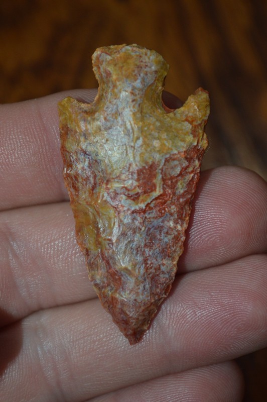 Amazingly colorful Woodland Stemmed Point Greene Co, Arkansas 2 x 1 Neat Point