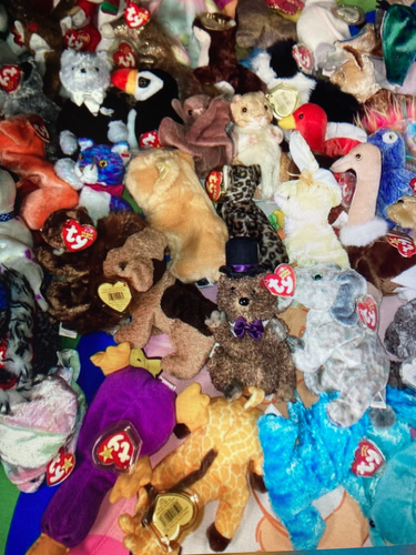 TY Beanie Babies LOT of 12 Beanies - Picture 17 of 17